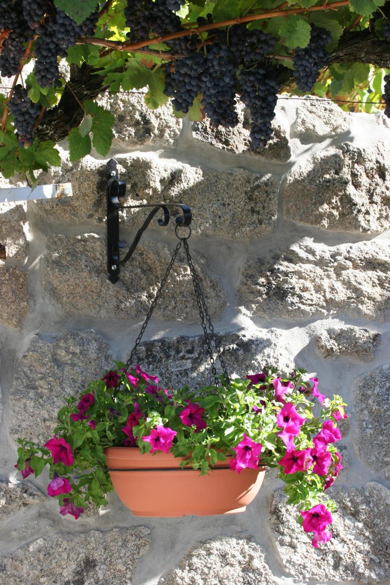 Pensjonat Quinta Da Timpeira Lamego Zewnętrze zdjęcie