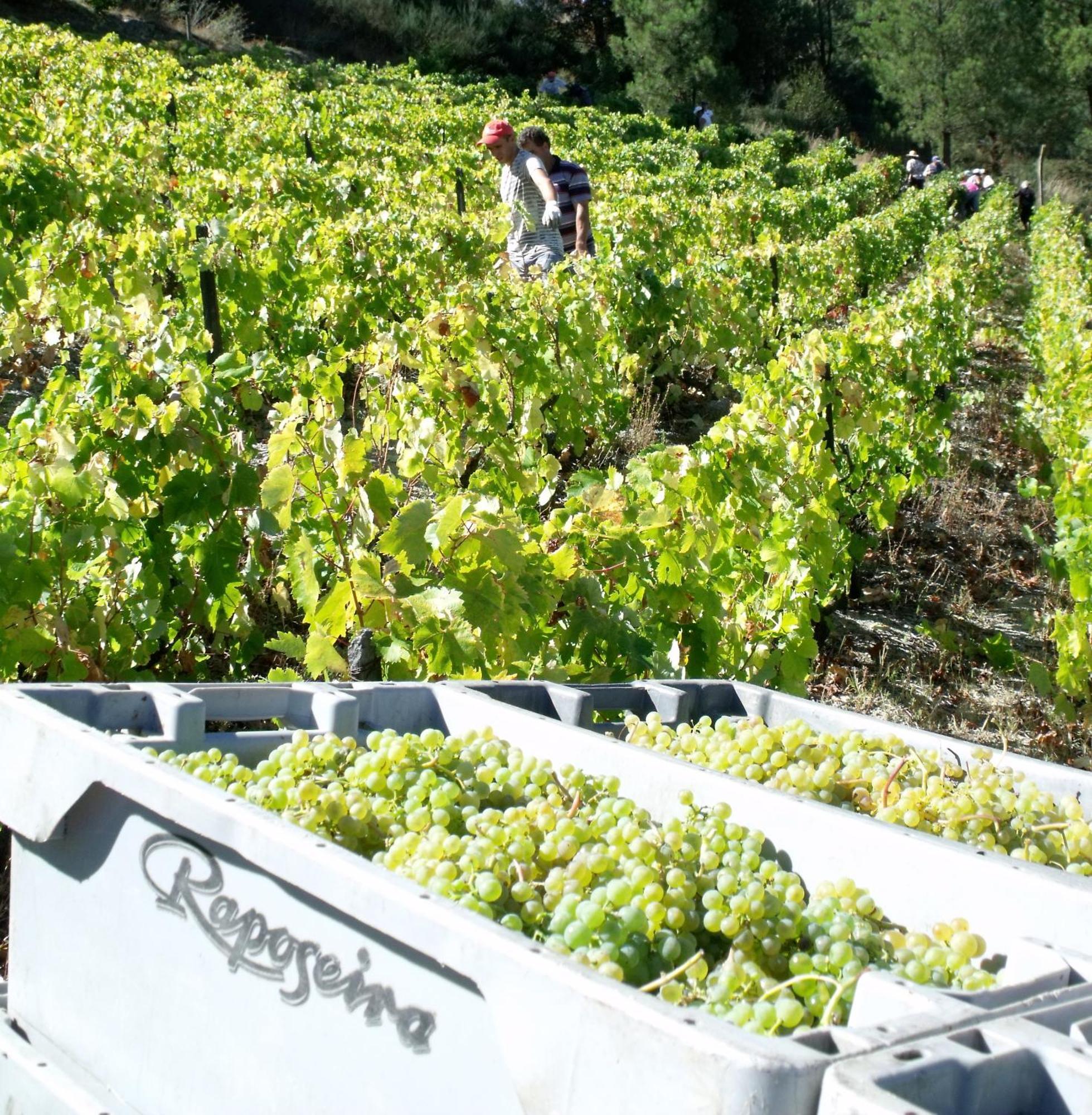 Pensjonat Quinta Da Timpeira Lamego Zewnętrze zdjęcie