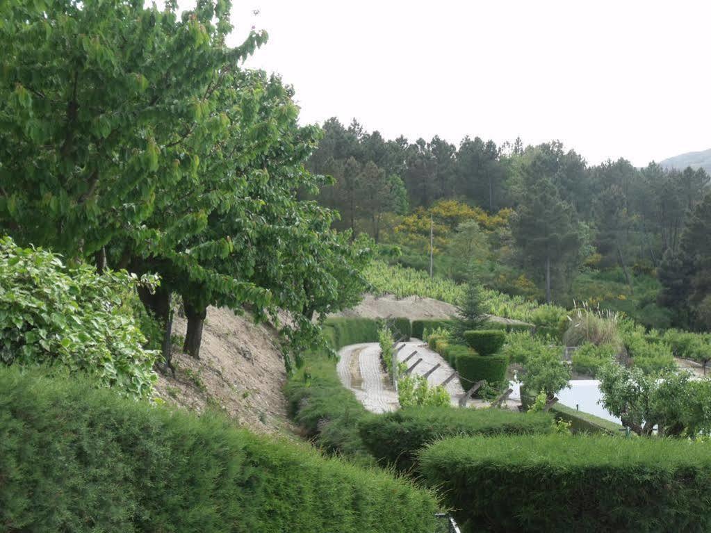 Pensjonat Quinta Da Timpeira Lamego Zewnętrze zdjęcie